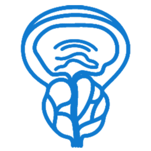 البروستاتا بالثوليوم ليزر