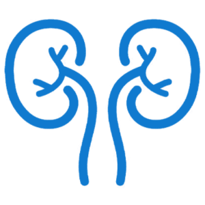 زراعة الكلى